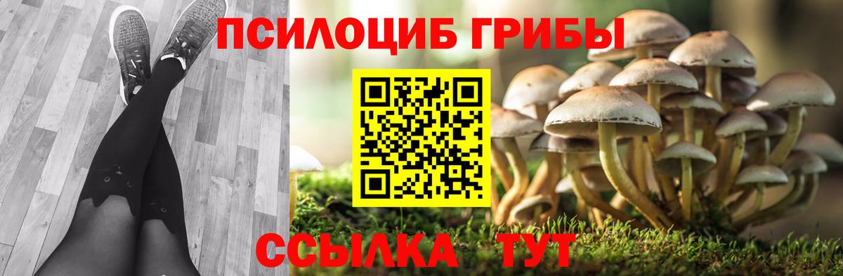 Галлюциногенные грибы Psilocybine cubensis  Вход с VPN  Каспийск  Псилоцибиновые грибы GOLDEN TEACHER 